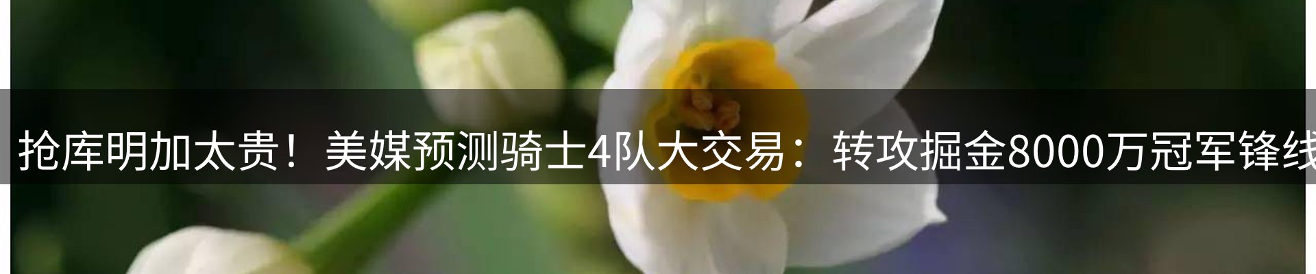 内页banner