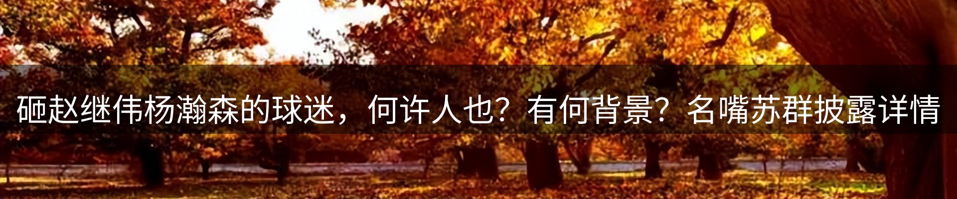内页banner