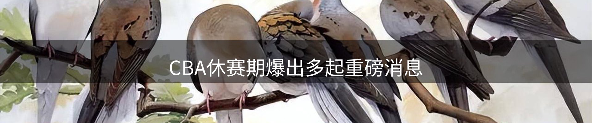 内页banner